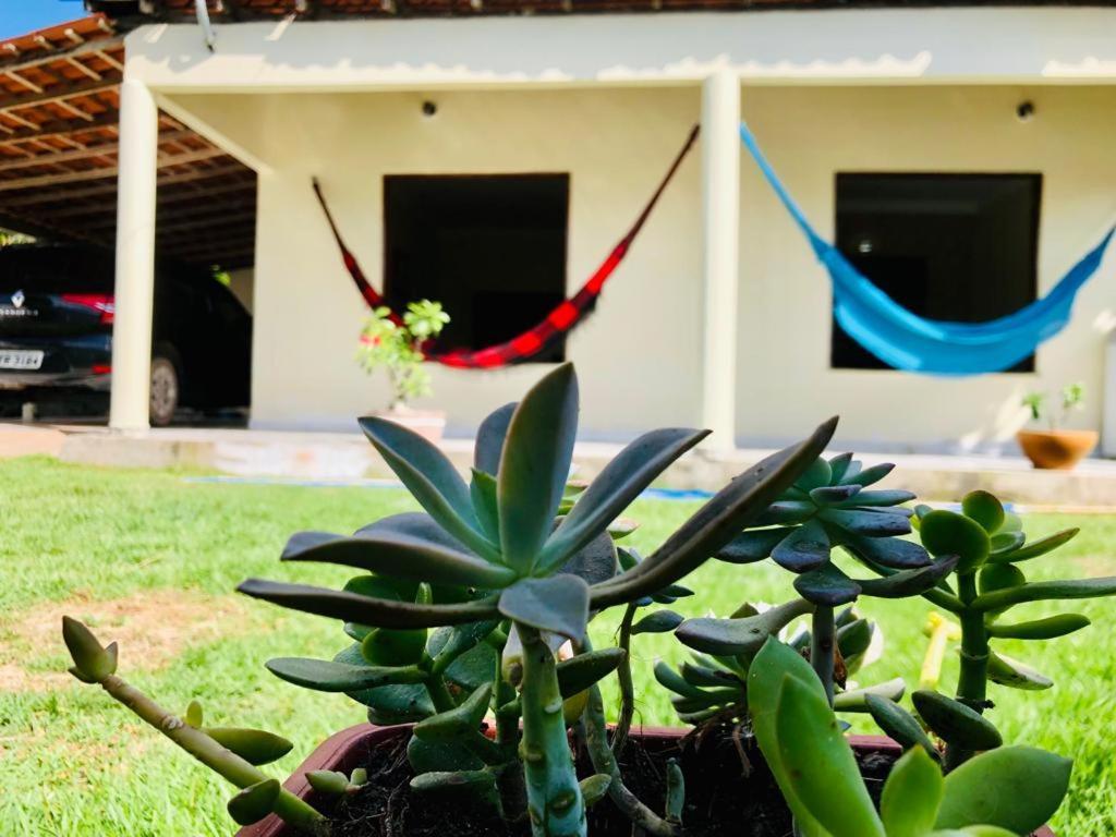 Casa Em Barreirinhas 01 Apartment Екстериор снимка