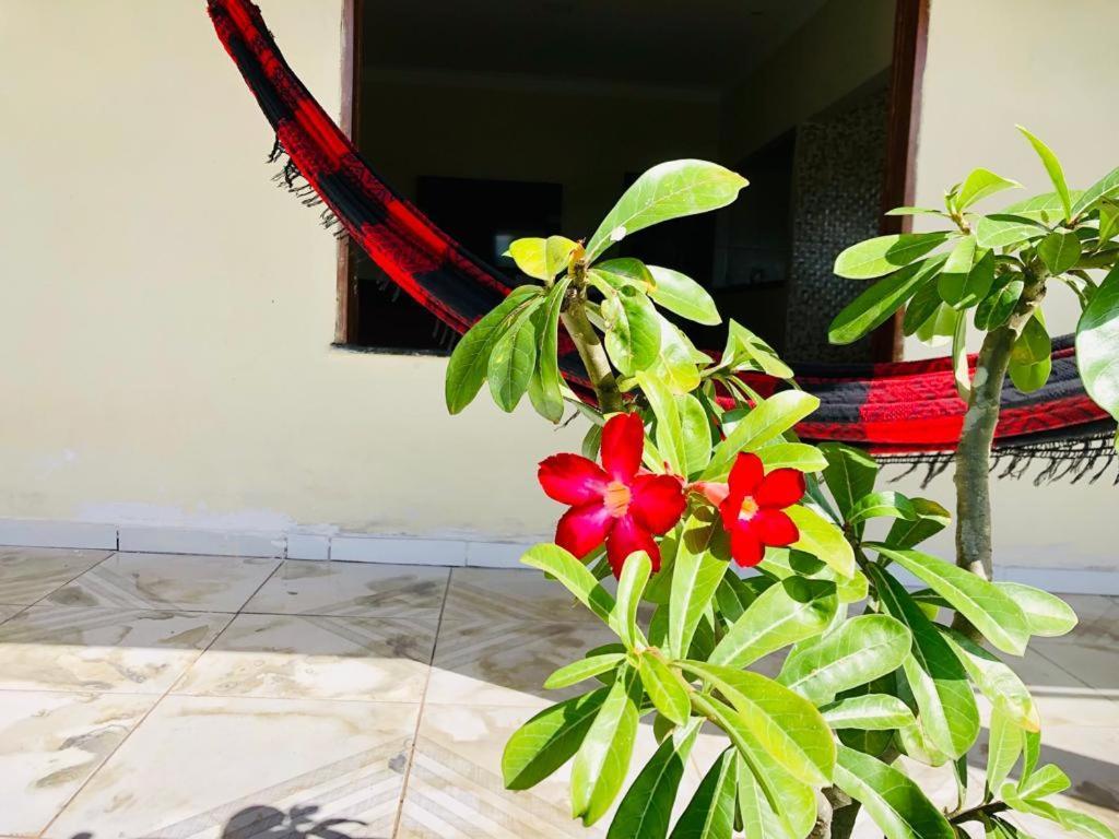 Casa Em Barreirinhas 01 Apartment Екстериор снимка