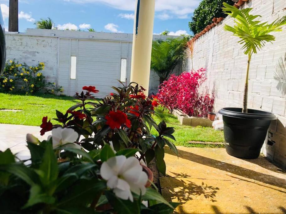Casa Em Barreirinhas 01 Apartment Екстериор снимка